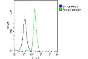 Overlay histogram showing A549 cells stained with (ABIN653155 and ABIN2842723) (green line). (ANGPTL4 抗体  (AA 138-167))