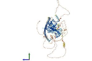 Protein Structure (PS) image for Cell Cycle and Apoptosis Regulator 2 (CCAR2) (AA 1-923) protein (His tag) (ABIN7553008)