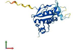 Protein Structure (PS) image for Josephin Domain Containing 2 (JOSD2) (AA 1-188) protein (His tag) (ABIN7560605)