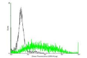 Flow Cytometry (FACS) image for anti-Complement Component 3a Receptor 1 (C3AR1) (AA 1-482) antibody (ABIN513867)