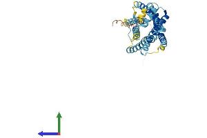 Protein Structure (PS) image for Chemokine (C-X-C Motif) Receptor 2 (CXCR2) (AA 1-359) protein (His tag) (ABIN7563164)