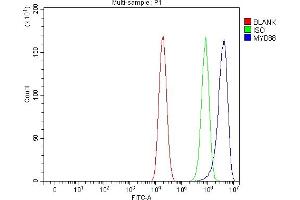 Flow Cytometry analysis of Caco-2 cells using anti-MYD88 antibody (ABIN7602189).