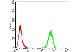Flow cytometric analysis of MCF-7 cells using TH mouse mAb (green) and negative control (red). (TH 抗体  (AA 44-208))