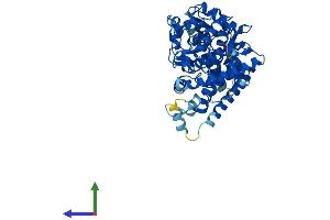 AlphaFold protein structure predicition of Mouse Recombinant Cyp4f14 Protein, UniprotID Q9EP75