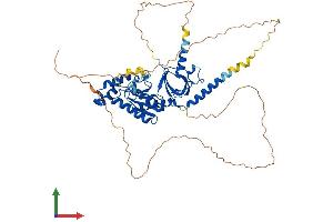 Protein Structure (PS) image for Calcium Channel, Voltage-Dependent, beta 4 Subunit (CACNB4) (AA 1-520) protein (His tag) (ABIN7552830)