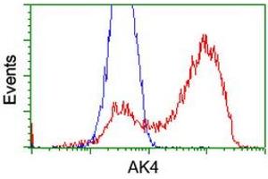HEK293T cells transfected with either RC220572 overexpress plasmid (Red) or empty vector control plasmid (Blue) were immunostained by anti-AK4 antibody (ABIN2454577), and then analyzed by flow cytometry. (AK4 抗体)
