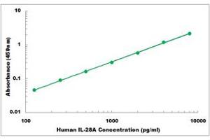 Representative Standard Curve (IL28A ELISA 试剂盒)