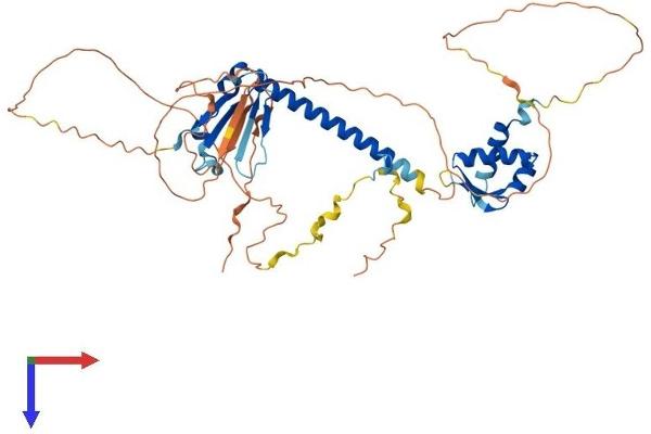 E2F3 Protein (AA 1-465) (His tag)