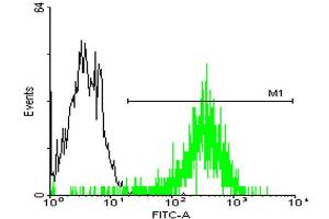 FACS analysis of A-431 cells stained with STIP1 monoclonal antibody clone 2E1 (Green) and non-stained A-431 cells (Black) as negative control. (STIP1 抗体  (AA 1-543))
