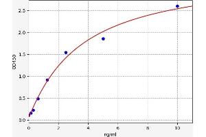Typical standard curve (SIGLEC8 ELISA 试剂盒)