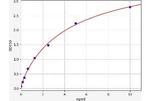 FOXC2 ELISA 试剂盒