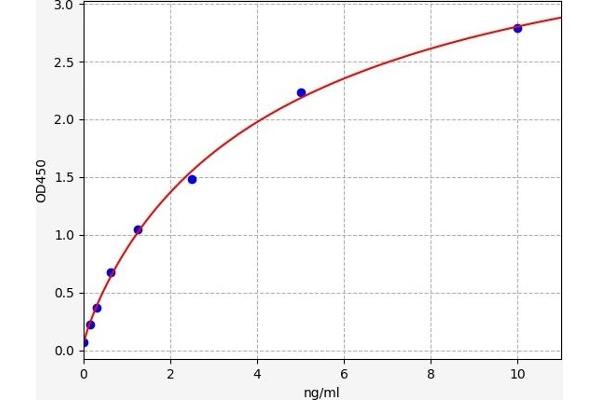 FOXC2 ELISA 试剂盒