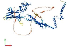 Protein Structure (PS) image for SWI/SNF Related, Matrix Associated, Actin Dependent Regulator of Chromatin, Subfamily D, Member 1 (SMARCD1) (AA 1-515) protein (His tag) (ABIN7563915)