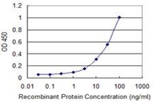 Detection limit for recombinant GST tagged SFXN3 is 1 ng/ml as a capture antibody. (SFXN3 抗体  (AA 1-100))