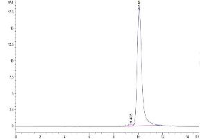 Size-exclusion chromatography-High Pressure Liquid Chromatography (SEC-HPLC) image for Interleukin 11 (IL11) (AA 22-199) protein (His tag) (ABIN7274875)