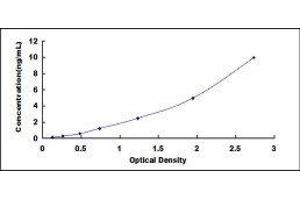 Carboxylesterase 1 (CES1) ELISA Kit