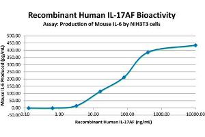 SDS-PAGE of Human Interleukin-17AF Heterodimer Recombinant Protein Bioactivity of Human Interleukin-17 Animal Free Heterodimer Recombinant Protein. (IL-17A/F 蛋白)