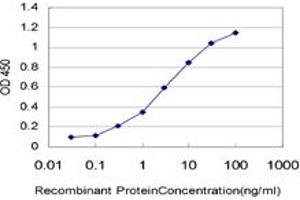 Detection limit for recombinant GST tagged AHR is approximately 0. (Aryl Hydrocarbon Receptor 抗体  (AA 721-820))