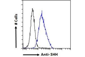 Flow Cytometry (FACS) image for anti-Sonic Hedgehog (SHH) (C-Term) antibody (ABIN6391361)