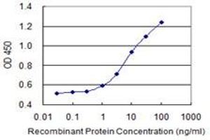 Detection limit for recombinant GST tagged NDFIP2 is 0. (NDFIP2 抗体  (AA 1-242))