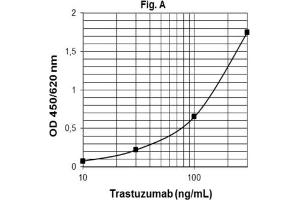 ELISA image for Trastuzumab ELISA Kit (ABIN2862652) (Trastuzumab ELISA 试剂盒)