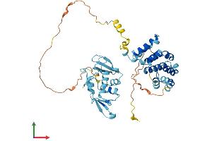 AlphaFold protein structure predicition of Mouse Recombinant Eif5 Protein, UniprotID P59325