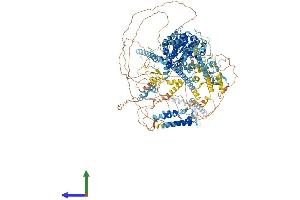 AlphaFold protein structure predicition of Human Recombinant SMARCA2 Protein, UniprotID P51531 (SMARCA2 Protein (AA 1-1590) (His tag))