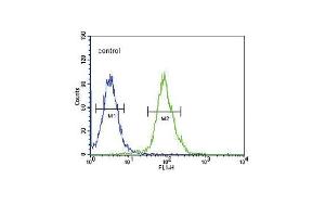 TPH2 Antibody (Center) (ABIN653124 and ABIN2842704) flow cytometric analysis of 293 cells (right histogram) compared to a negative control cell (left histogram). (Tryptophan Hydroxylase 2 抗体  (AA 168-193))