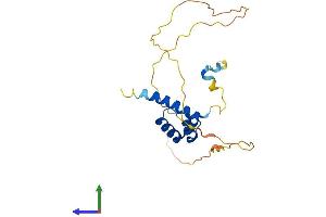 AlphaFold protein structure predicition of Human Recombinant HOXC5 Protein, UniprotID Q00444