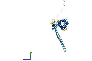 Protein Structure (PS) image for ORAI Calcium Release-Activated Calcium Modulator 2 (ORAI2) (AA 1-254) protein (His tag) (ABIN7550195)