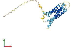 Protein Structure (PS) image for CKLF-Like MARVEL Transmembrane Domain Containing 8 (CMTM8) (AA 1-173) protein (His tag) (ABIN7560800)