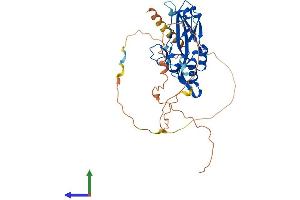 Protein Structure (PS) image for T-Box 1 (TBX1) (AA 1-398) protein (His tag) (ABIN7544171)