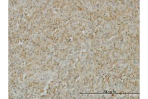 Immunostaining (ISt) image for anti-Tumor Necrosis Factor (Ligand) Superfamily, Member 14 (TNFSF14) (AA 61-170) antibody (ABIN563760)