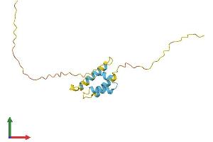 Protein Structure (PS) image for Protein Phosphatase 1, Regulatory (Inhibitor) Subunit 14A (PPP1R14A) (AA 1-147) protein (His tag) (ABIN7559985)