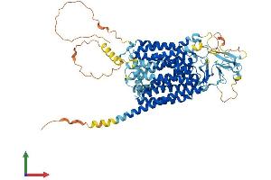 Protein Structure (PS) image for Solute Carrier Organic Anion Transporter Family, Member 2B1 (SLCO2B1) (AA 1-709) protein (His tag) (ABIN7555513)
