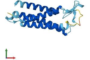 AlphaFold protein structure predicition of Mouse Recombinant Emp1 Protein, UniprotID P47801