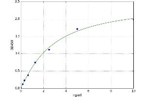 A typical standard curve (VCAM1 ELISA 试剂盒)
