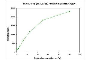 Activity Assay (AcA) image for Mitogen-Activated Protein Kinase-Activated Protein Kinase 3 (MAPKAPK3) (Active) protein (Myc-DYKDDDDK Tag) (ABIN2725454)