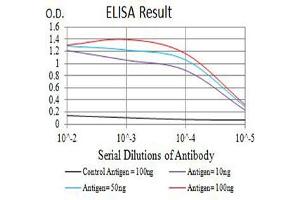 Black line: Control Antigen (100 ng),Purple line: Antigen (10 ng), Blue line: Antigen (50 ng), Red line:Antigen (100 ng) (TLL1 抗体  (AA 870-1013))