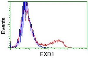 HEK293T cells transfected with either RC206223 overexpress plasmid (Red) or empty vector control plasmid (Blue) were immunostained by anti-EXD1 antibody (ABIN2453983), and then analyzed by flow cytometry. (EXD1 抗体)