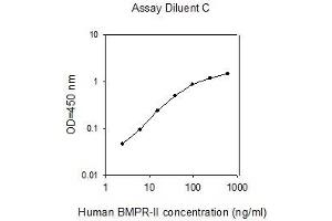 ELISA image for Bone Morphogenetic Protein Receptor, Type II (serine/threonine Kinase) (BMPR2) ELISA Kit (ABIN4881982) (BMPR2 ELISA 试剂盒)