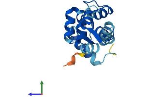 Protein Structure (PS) image for Calmodulin-Like 4 (CALML4) (AA 1-153) protein (His tag) (ABIN7560052)