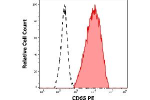 Separation of human neutrophil granulocytes (red-filled) from lymphocytes (black-dashed) in flow cytometry analysis (surface staining) of peripheral whole blood stained using anti-human CD65 (VIM8) PE antibody (10 μL reagent / 100 μL of peripheral whole blood). (CD65 抗体 (PE))
