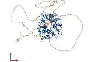 Protein Structure (PS) image for Protein Kinase, AMP-Activated, gamma 2 Non-Catalytic Subunit (PRKAG2) (AA 1-566) protein (His tag) (ABIN7564801)