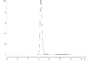The purity of Human TFPI is greater than 95 % as determined by SEC-HPLC. (TFPI Protein (His-Avi Tag))