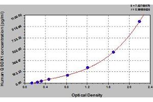 Typical Standard Curve (QSOX1 ELISA 试剂盒)