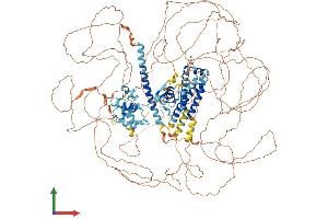 AlphaFold protein structure predicition of Mouse Recombinant Synrg Protein, UniprotID Q5SV85