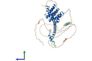 Protein Structure (PS) image for Signal Transducing Adaptor Molecule (SH3 Domain and ITAM Motif) 2 (STAM2) (AA 1-523) protein (His tag) (ABIN7562663)