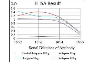Black line: Control Antigen (100 ng), Purple line: Antigen(10 ng), Blue line: Antigen (50 ng), Red line: Antigen (100 ng), (PAPLN 抗体  (AA 766-870))