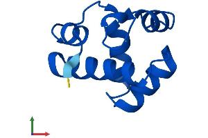 AlphaFold protein structure predicition of Mouse Recombinant Banf1 Protein, UniprotID O54962